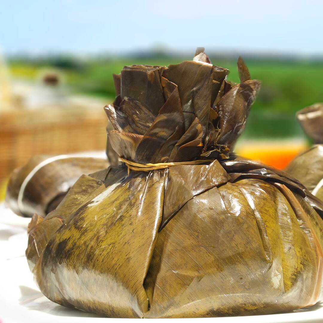 Tamal Tolimense