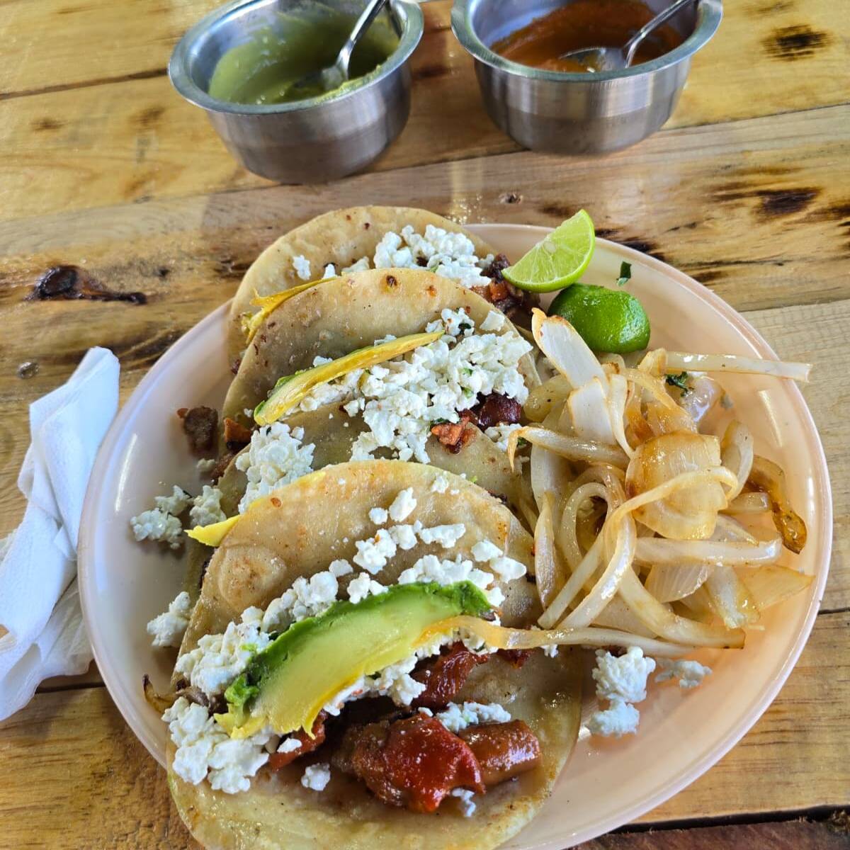 Tripa