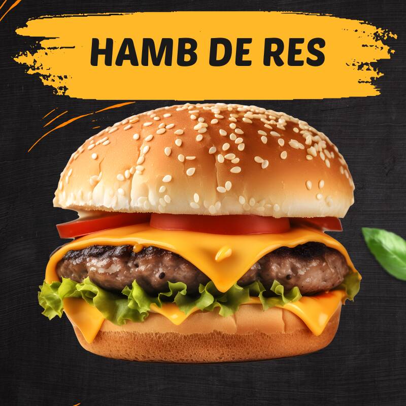 HAMBURGUESA ESPECIAL