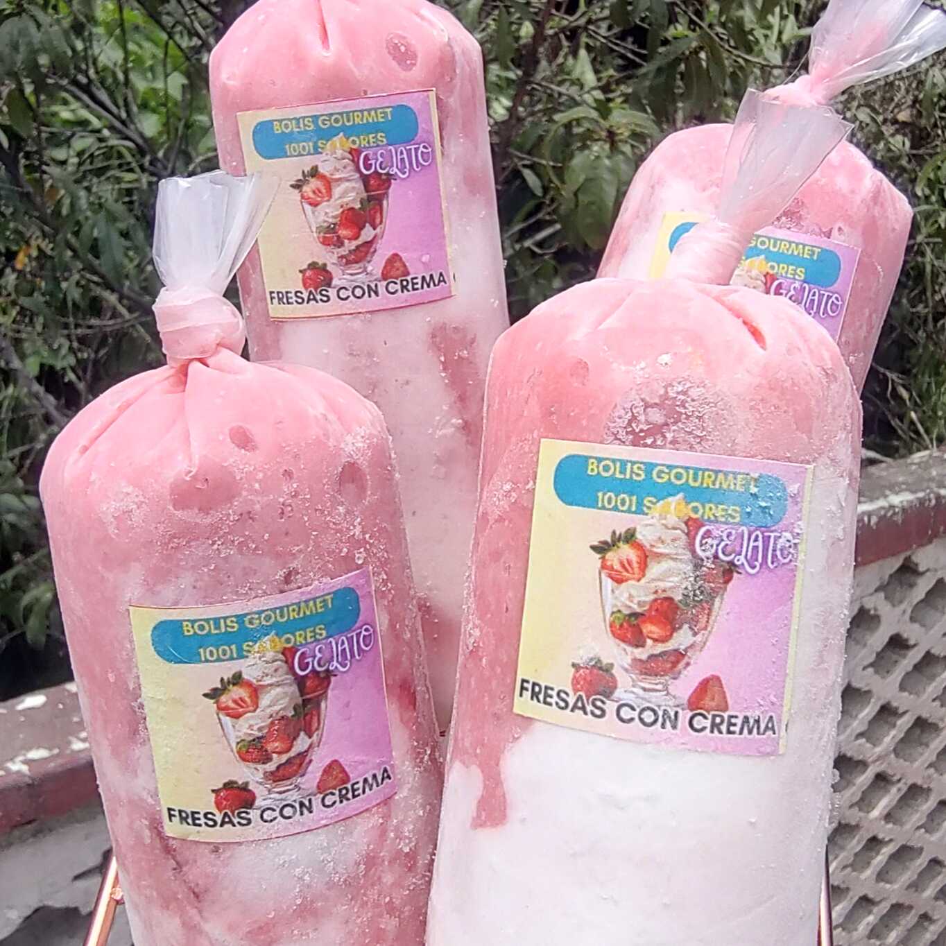 Boli Gourmet Gelato Fresas con Crema