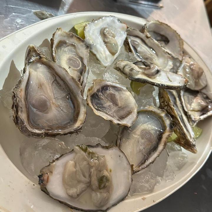 Ostiones Preparados Docena