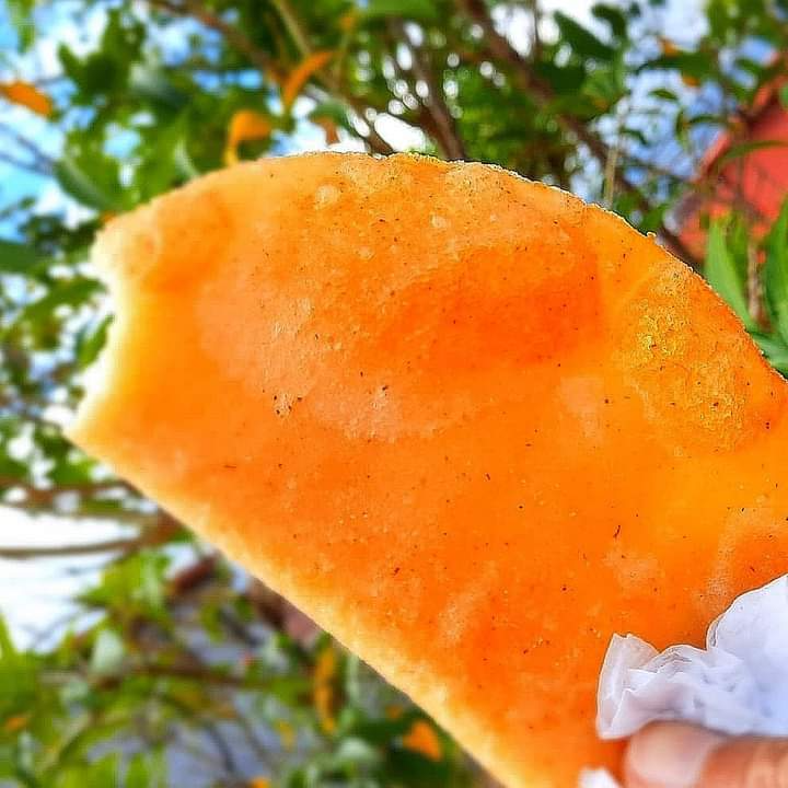 Empanada de Pollo