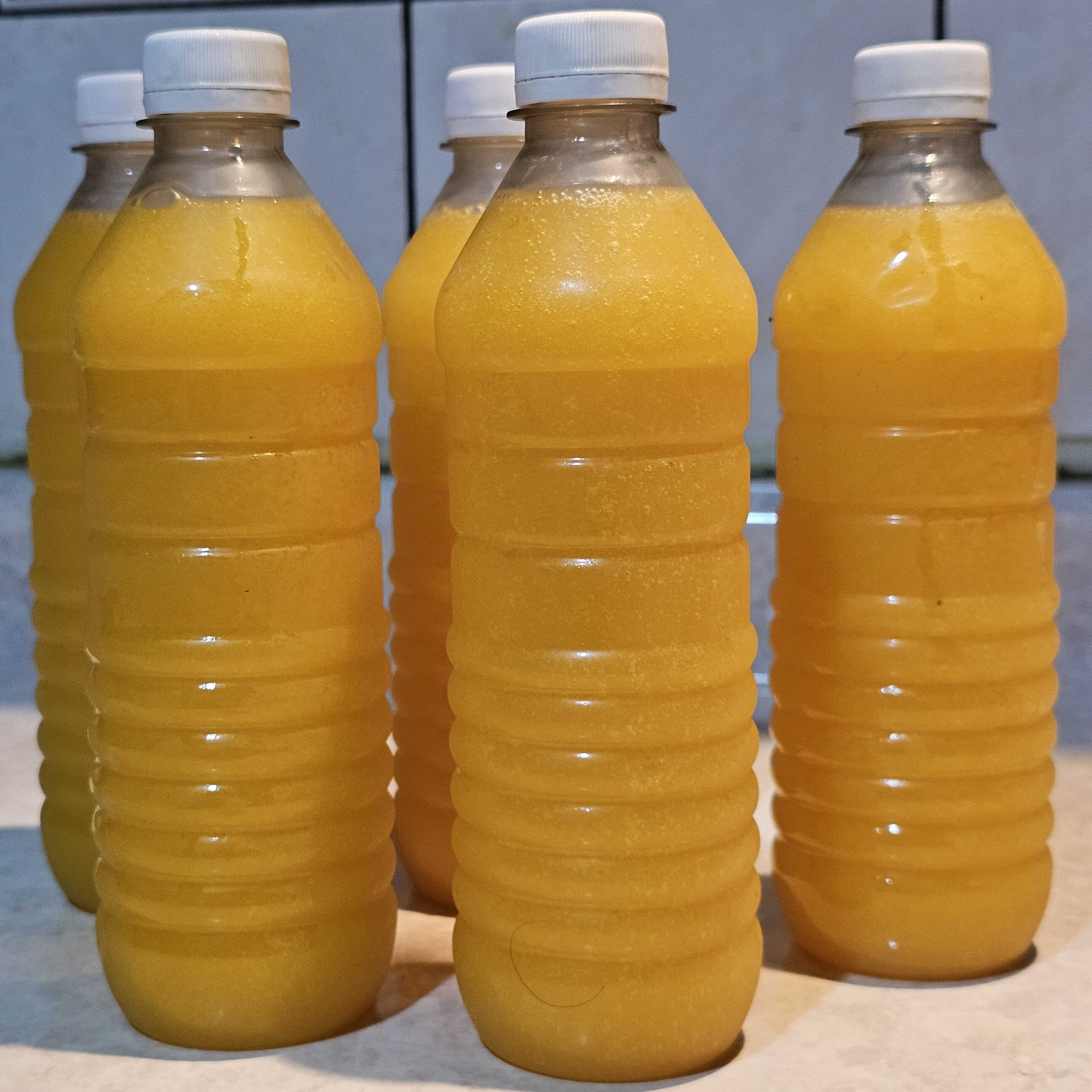 Agua Fresca de Mango 500ml