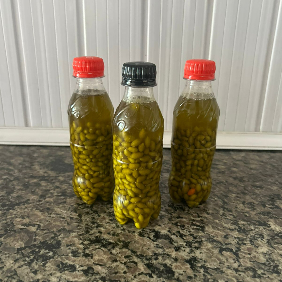 Pimenta cumbari feita óleo