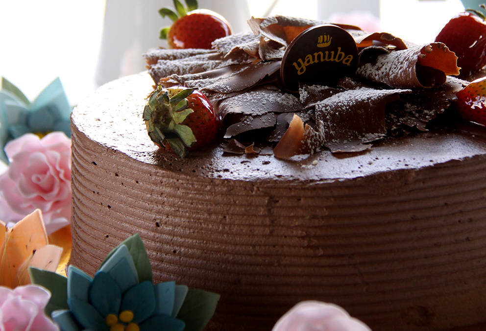 Torta chocolate 5 personas