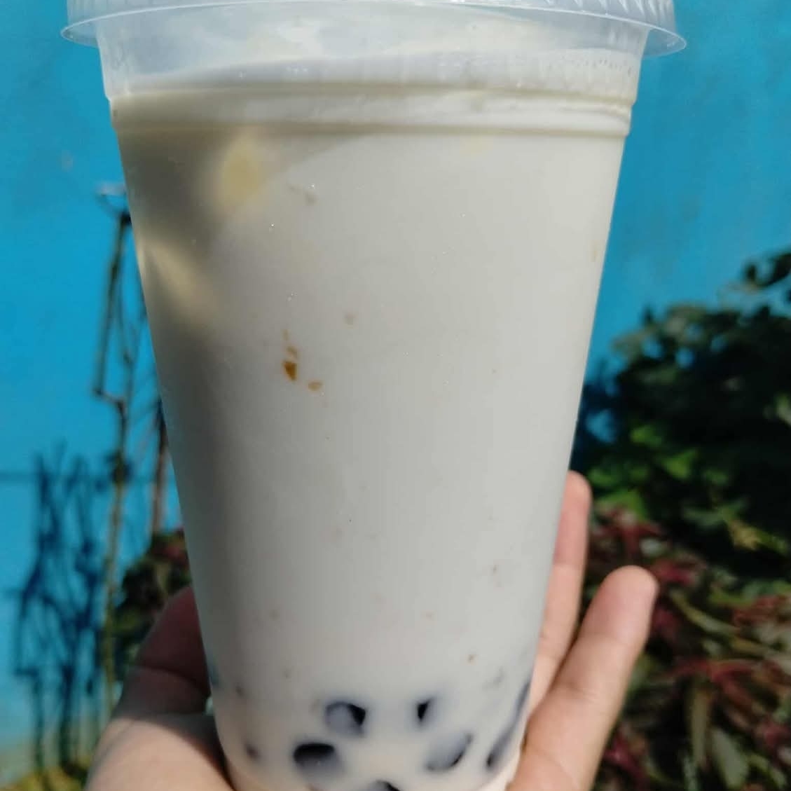 Bubble Te Coco