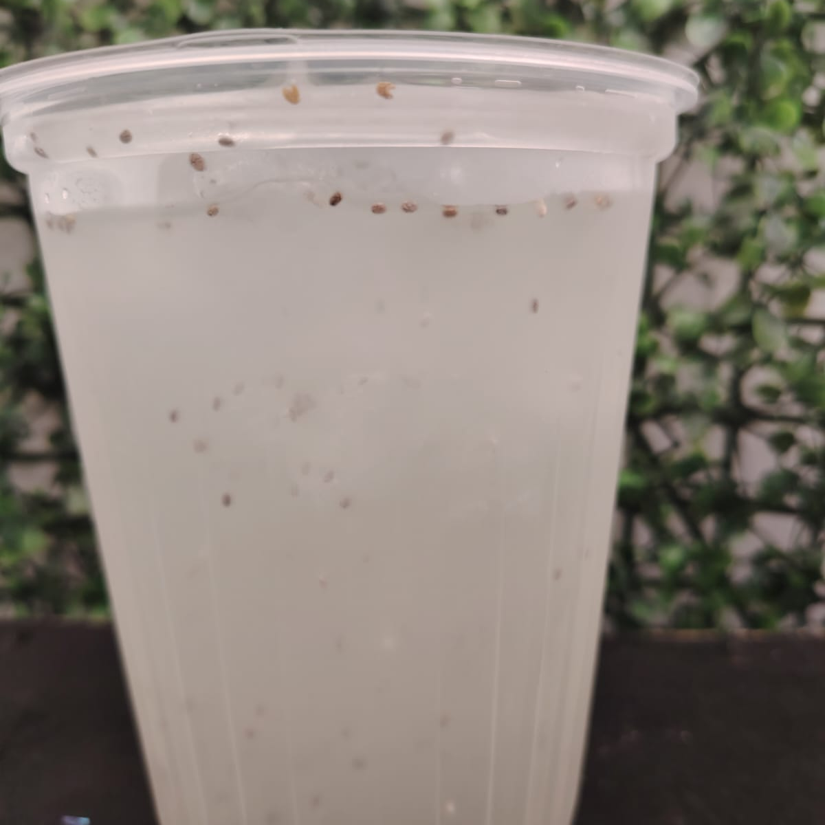 Limonada con chia
