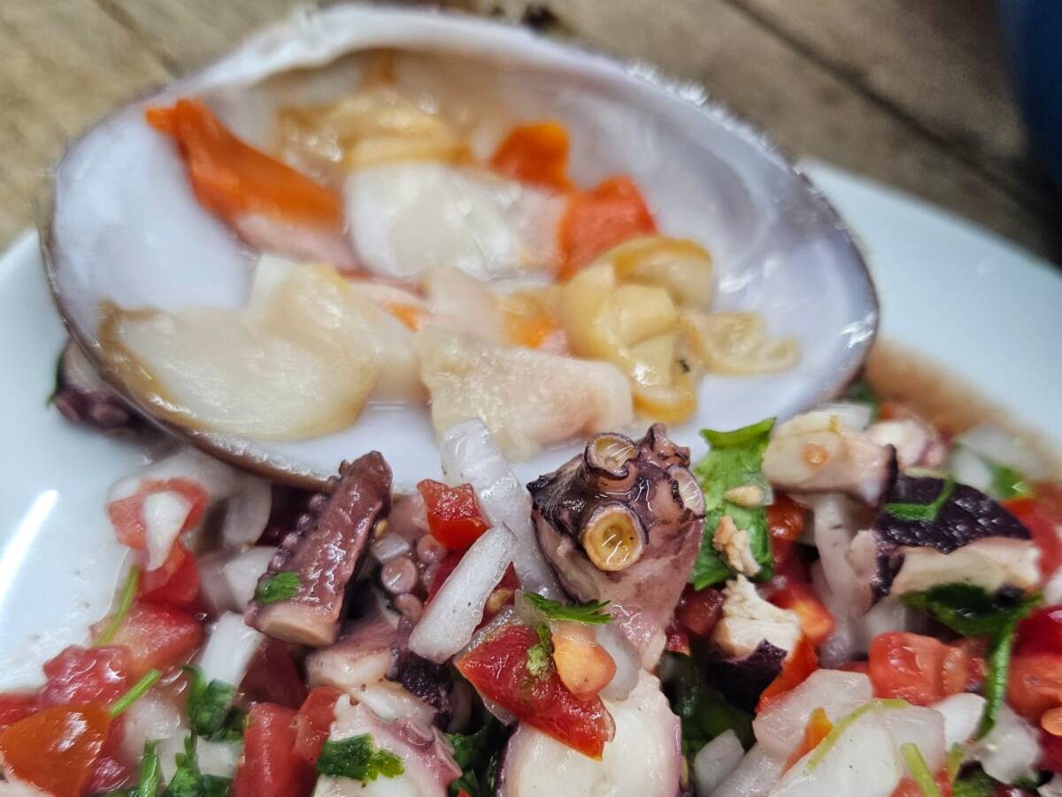 EL HIELITO COSTEÑO MARISCOS CRUDOS Y HELADOS