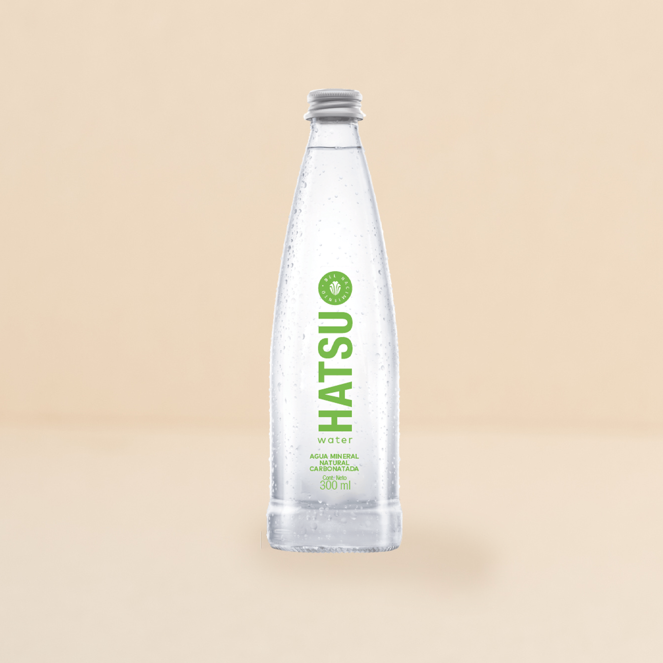 Agua con gas 300ml