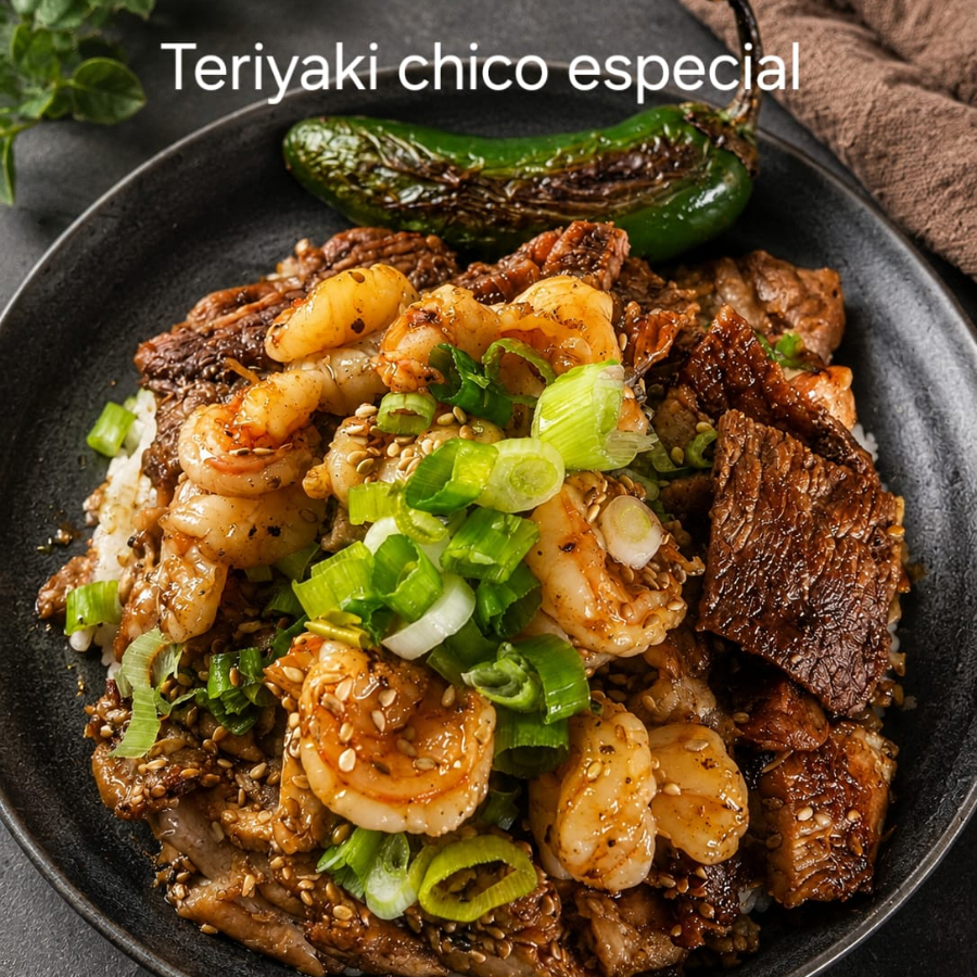 Teriyaki Especcial Chico