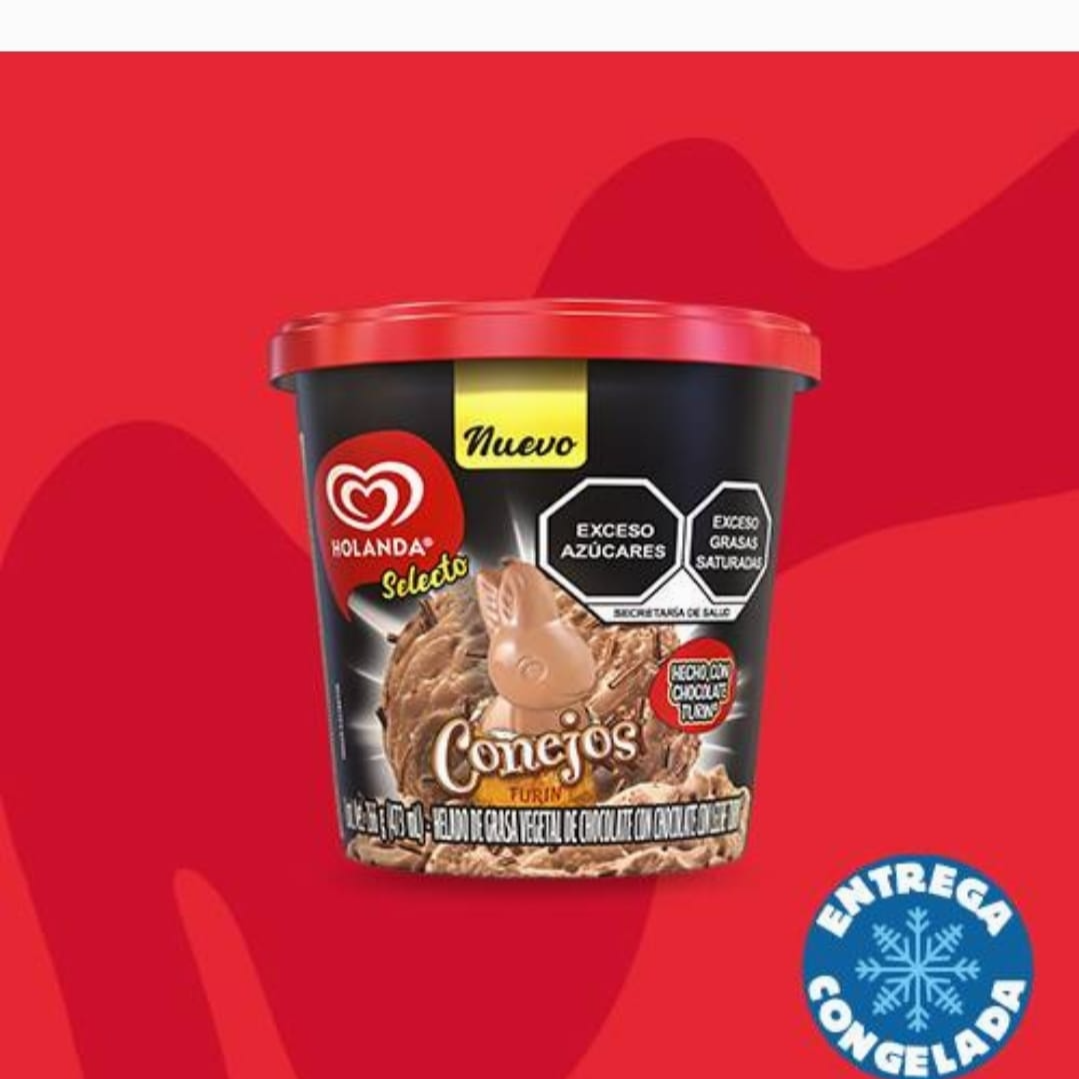 Micha de Conejo Turin