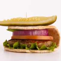Fit Burger