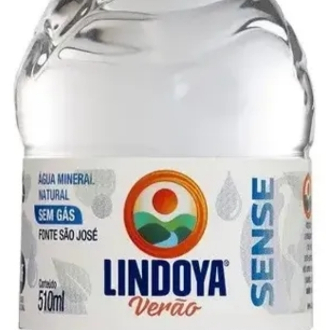 Agua mineral 510 ml