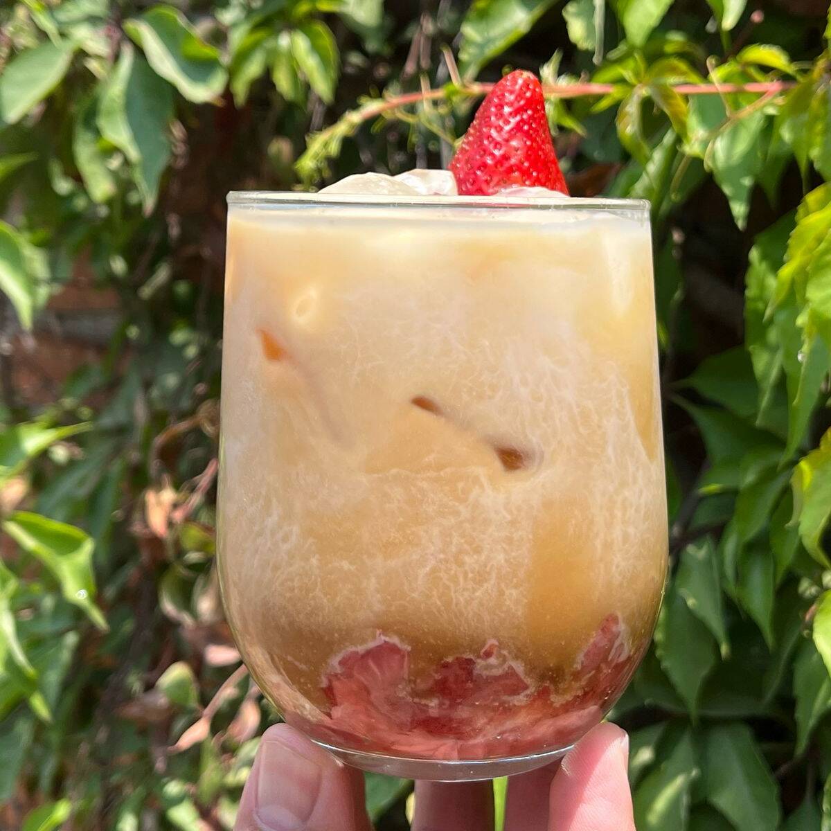 Fresa Brew