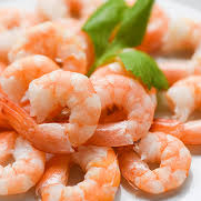 3. Proteina: Camaron