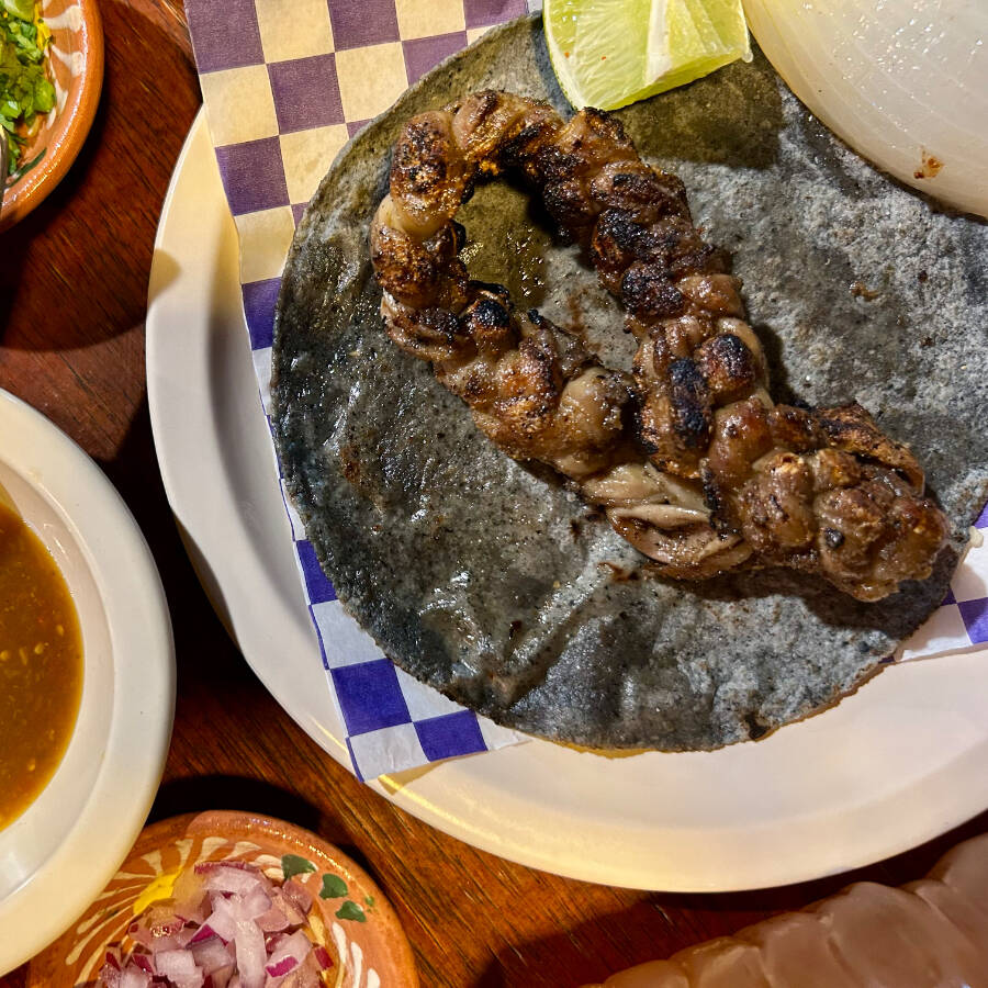 Taco de Tripa Trenzada