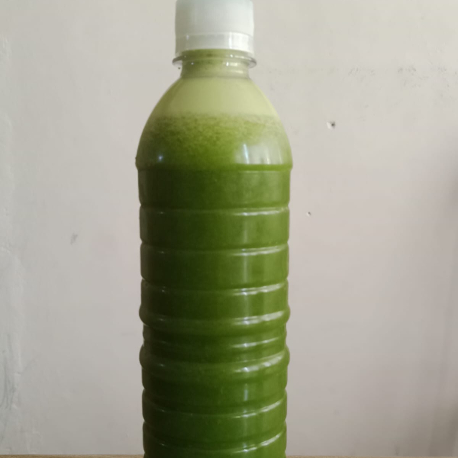 Jugo Verde 500 ml