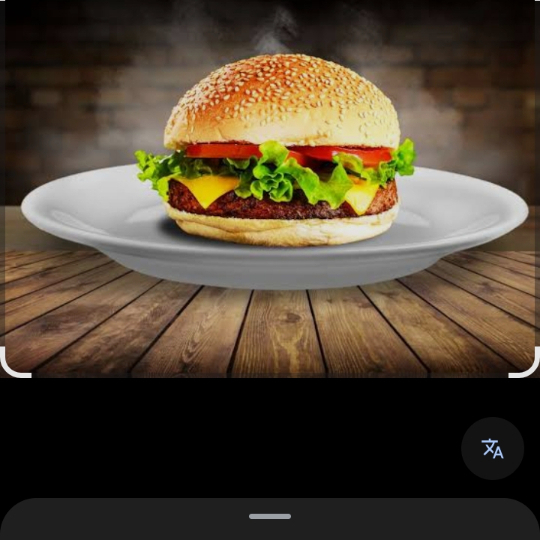 Hamburguesa Arrachera