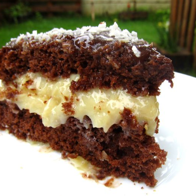 bolo de chocolate com recheio de coco e cobertura de chocolate