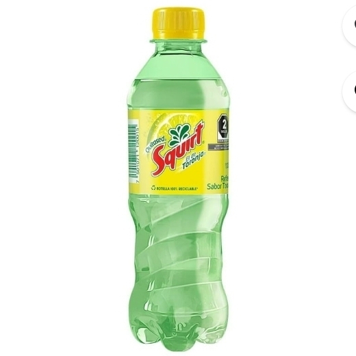 REGRESO SQURT 355 ML