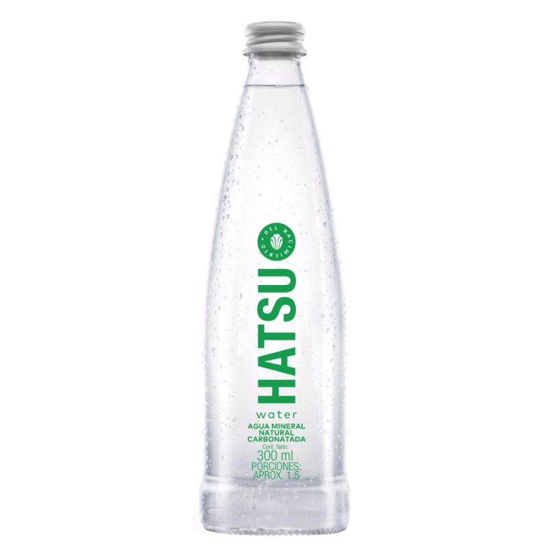 Agua Botella con Gas 300 ml