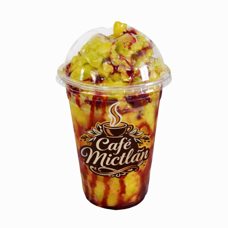 KIWI CHAMOY 480 ML