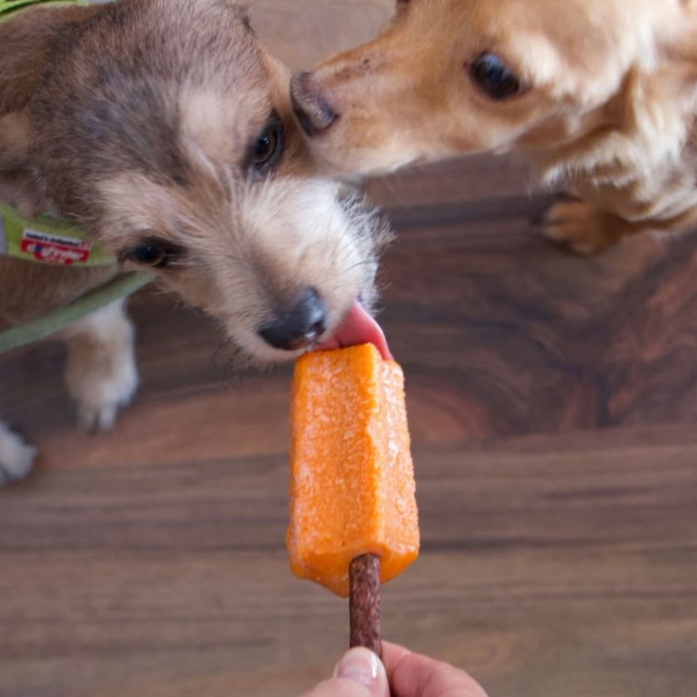 Paleta para Mascotas