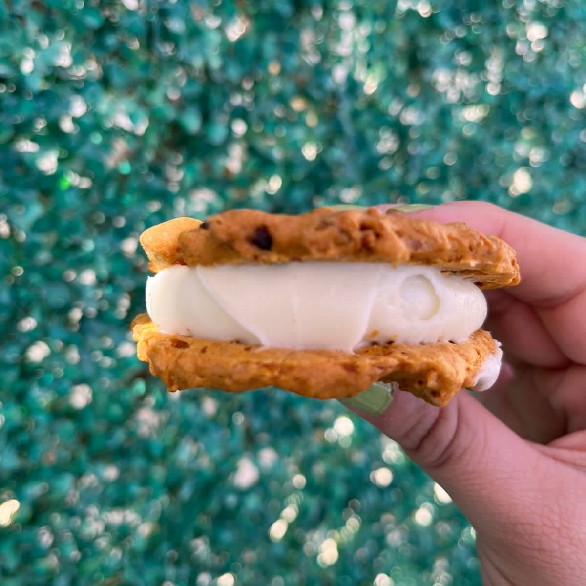 galleta de zanahoria