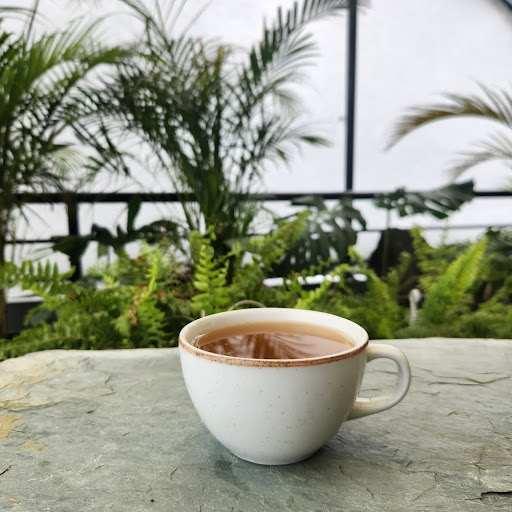 Agua panela con jengibre caliente
