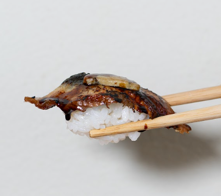 Nigiri Anguila