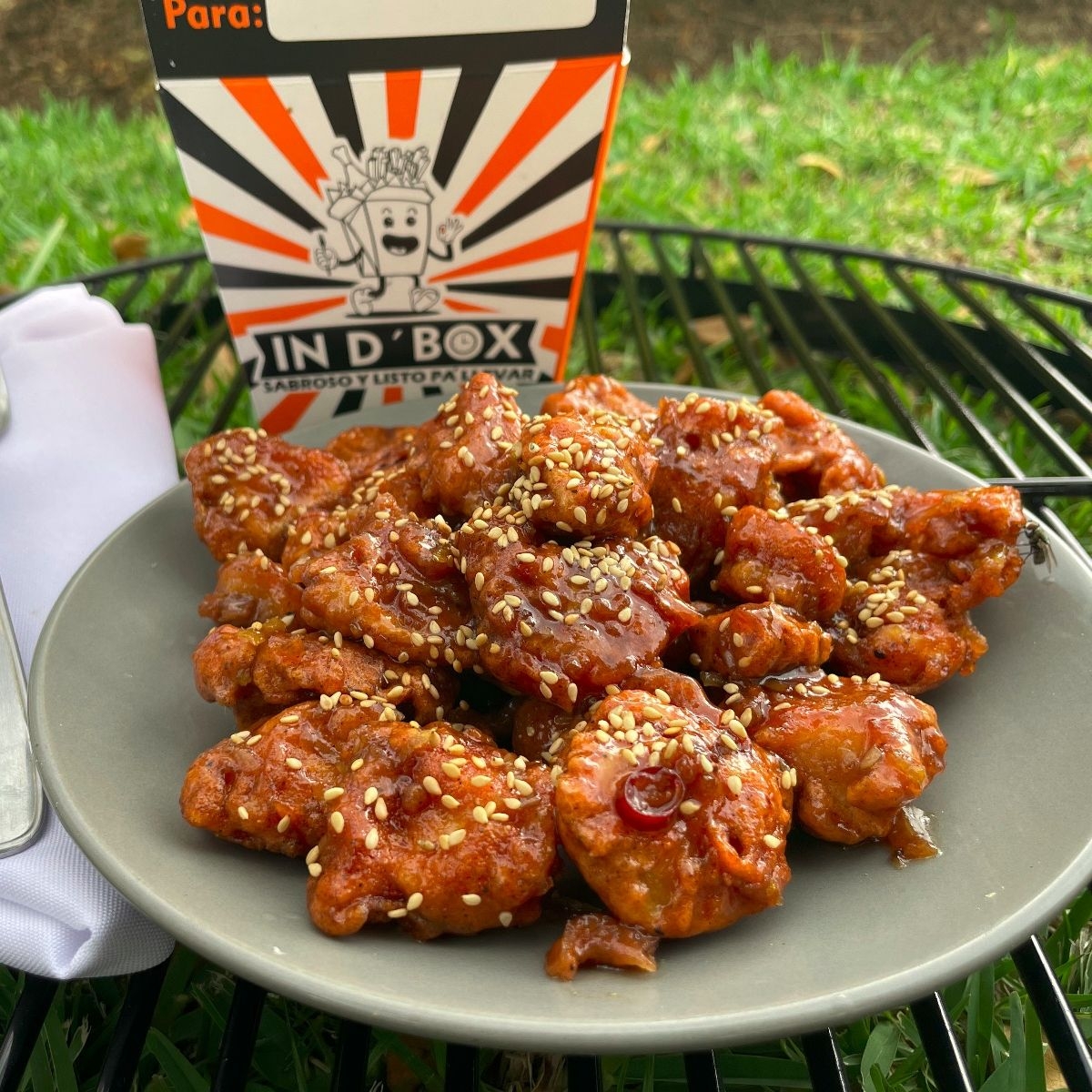 Pollo a la Naranja box especial