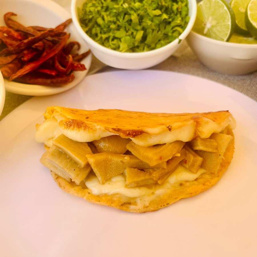 Quesadilla de Carne