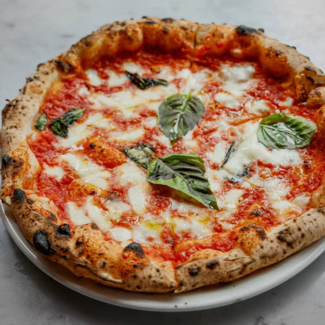 MARGHERITA