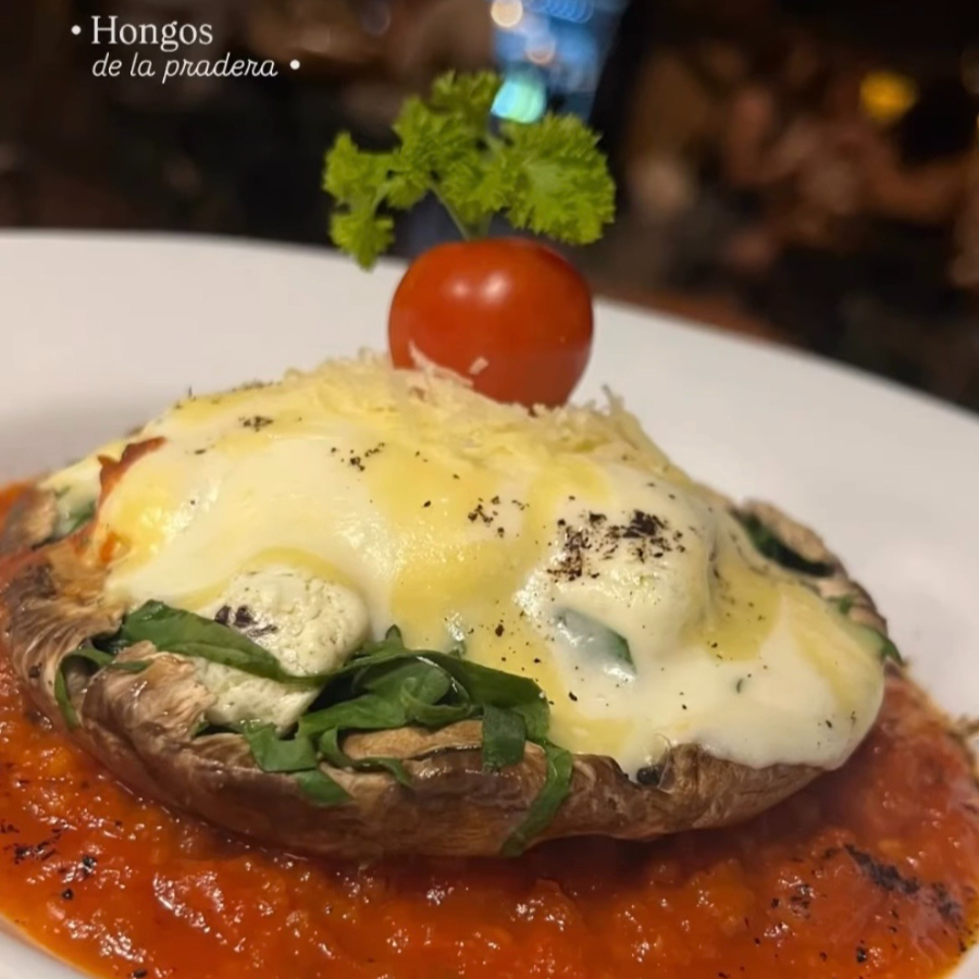 Hongos de la Pradera