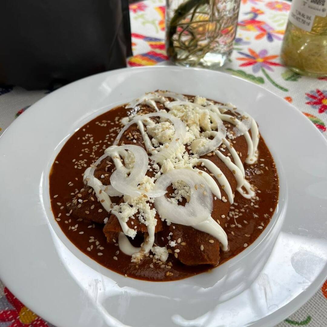 Enmoladas de Pollo (3)