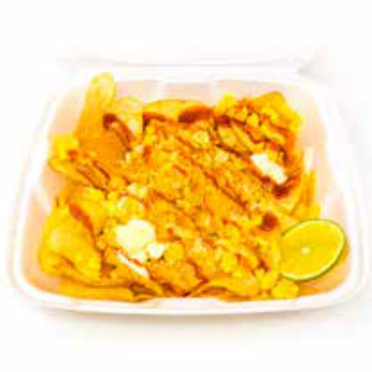 Provielotes