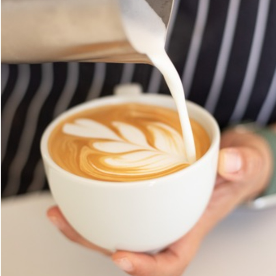 Capuccino 12 Oz