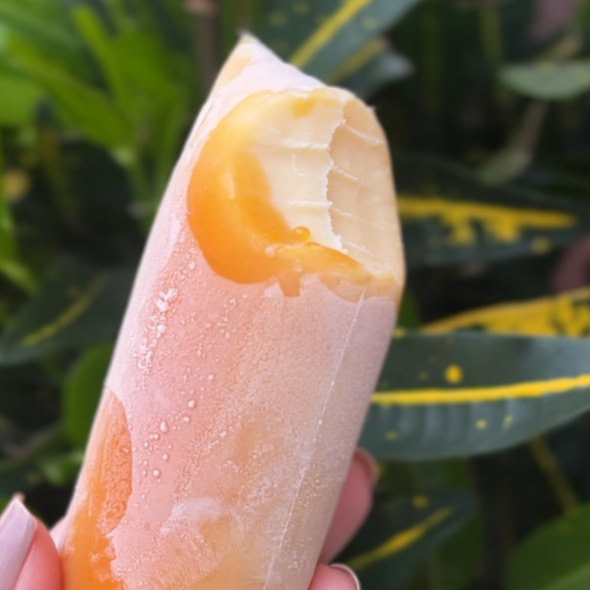 A sobremesa que todo mundo ama! Saboroso, cremoso e coberto por uma caldinha de caramelo que da água na boca!
