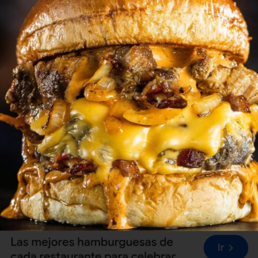 Hamburguesa Especial en Combo