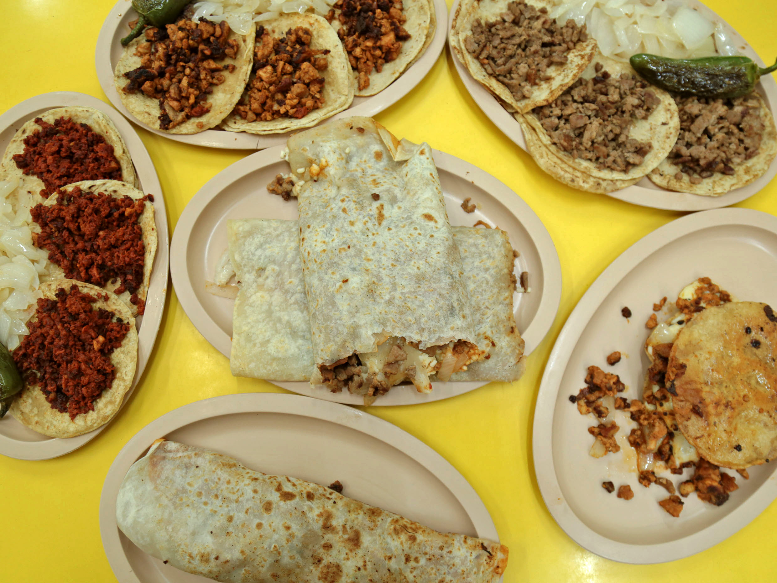 El Potro Loco Burrito y Taco