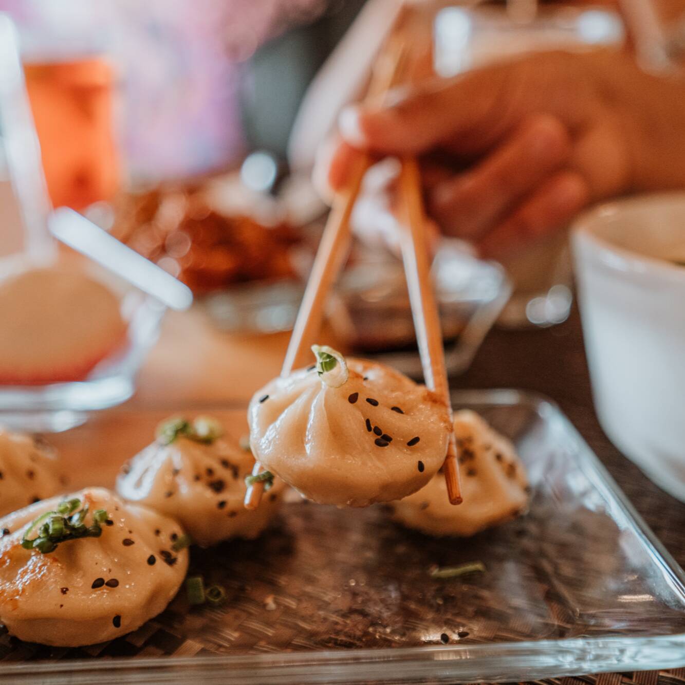 Dumplings/Gyozas