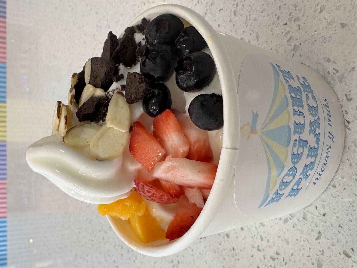 Yogurt Palace