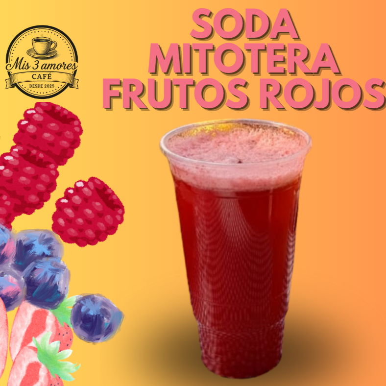 Soda Frutos Rojos 1 Lt