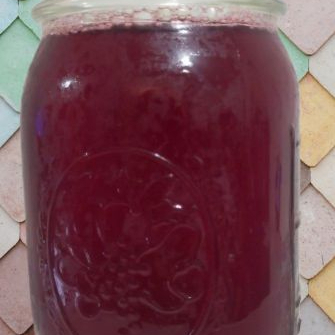Agua de Jamaica