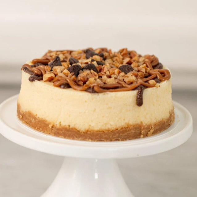 Cheescake Tortuga