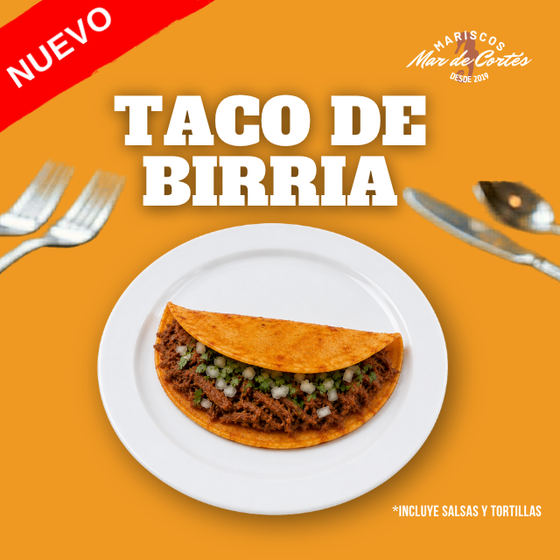 Taco de Birria