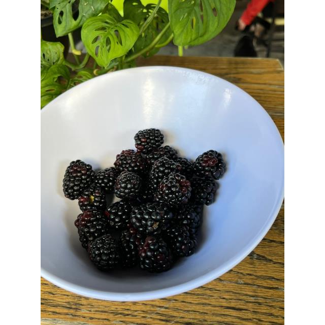BOWL DE ZARZAMORA
