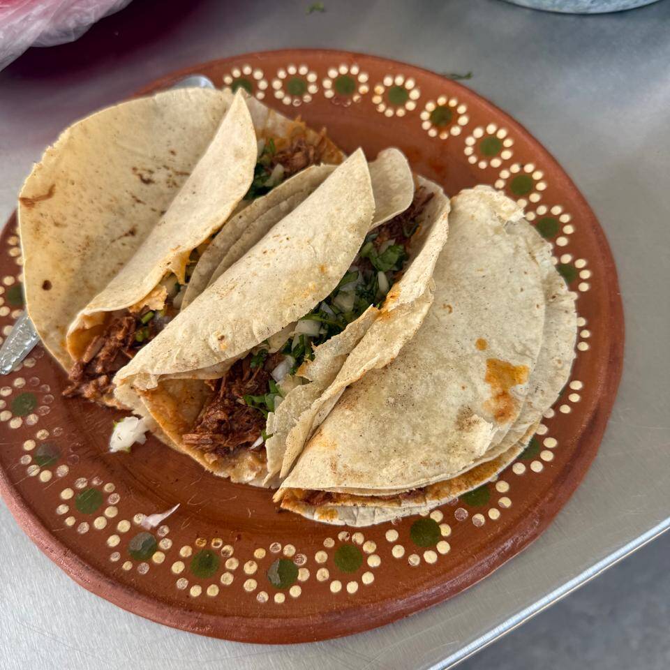 Taco Suave