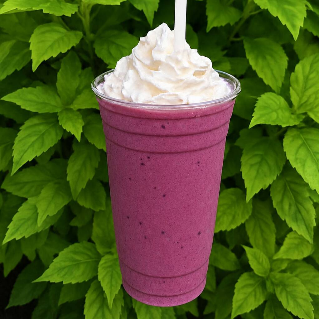 SMOOTHIE DE TRES MORAS