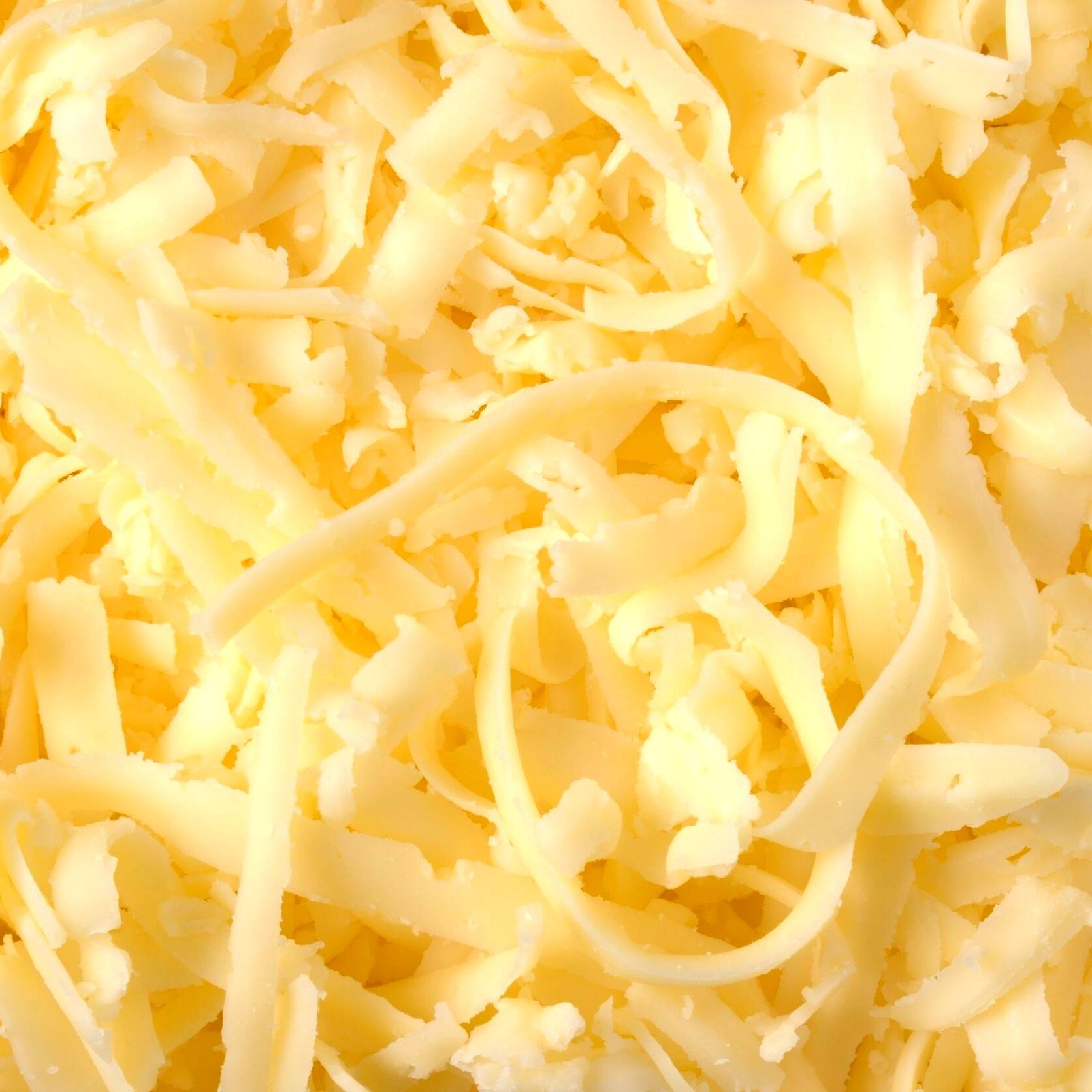Queso Mozzarella